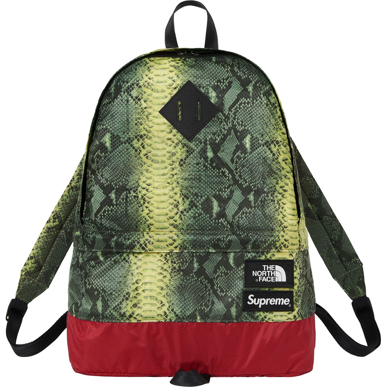 Supreme®/The North Face® Snakeskin Lightweight Day Pack view 2